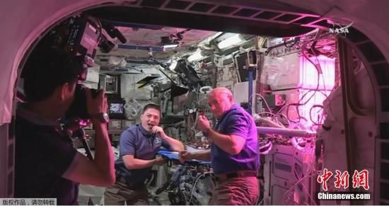 资料图：2015年，生活在国际空间站内的宇航员们日前首次品尝了他们在太空种植出来的生菜。