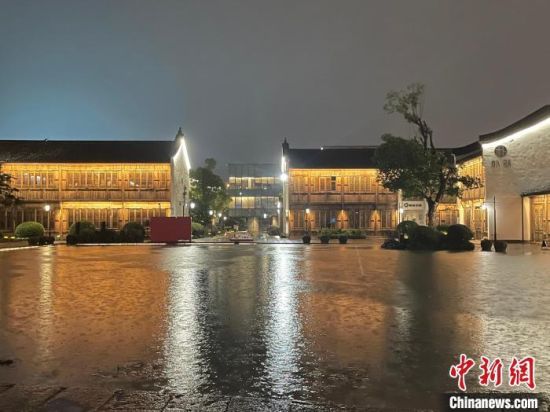 资料图：6月12日夜，浙江杭州局地迎大雨。　张煜欢 摄
