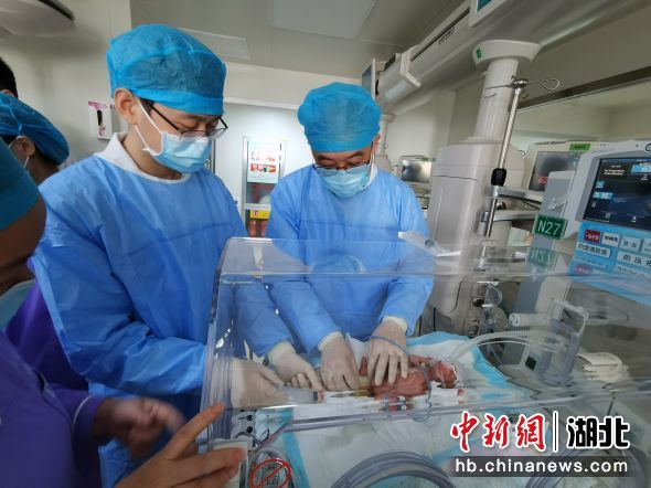小儿外科主任张文（右）为宝宝检查身体