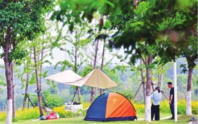 在金银湖畔白马泾公园，星星点点的帐篷分布在林荫道。记者喻志勇 摄