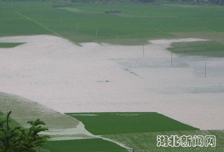 图:咸丰县高乐山镇发生特大洪灾-湖北新闻网