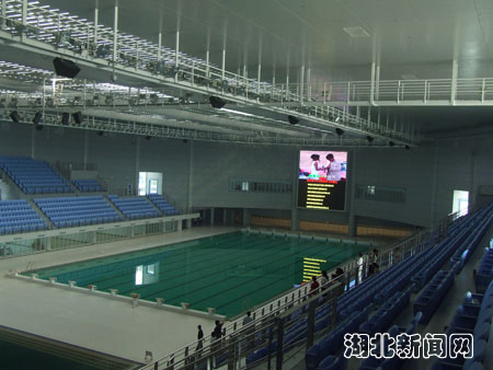 第六届城运会游泳跳水场馆武汉体育中心游泳馆