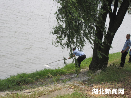 湖北新闻网 图文:黄石磁湖水面漂浮一具无名女尸