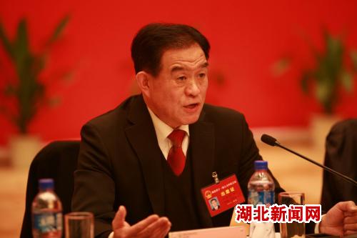 湖北新闻网 省人大常委会副主任罗辉发言
