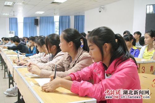 湖北新闻网 图:宜昌东湖高中培训新生合作学习
