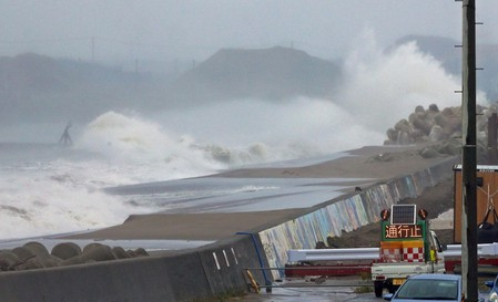 湖北新闻网 台风吹袭日本致3人死近百人伤 数