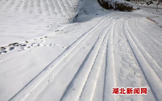 湖北新闻网+利川齐岳山雪景风光(4)