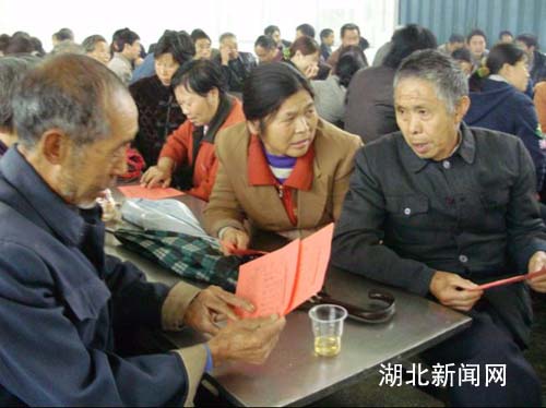 湖北新闻网 新农村 图:保康17个行政村选举当